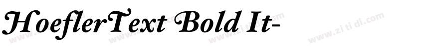 HoeflerText Bold It字体转换